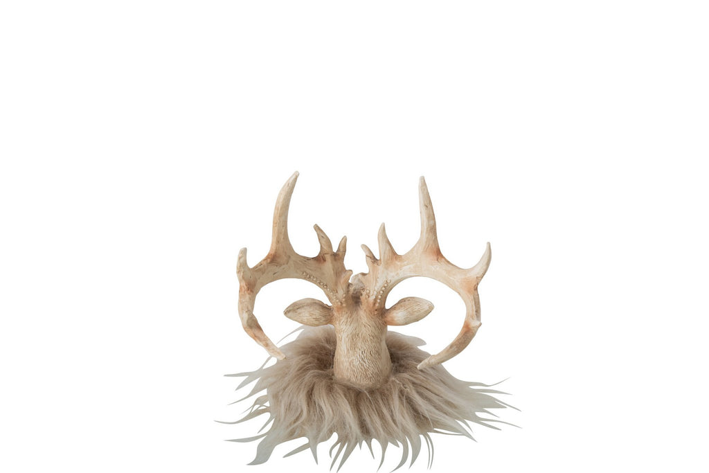 J-Line decoratie Rendier Hoofd - polyresin - lichtbeige - small
