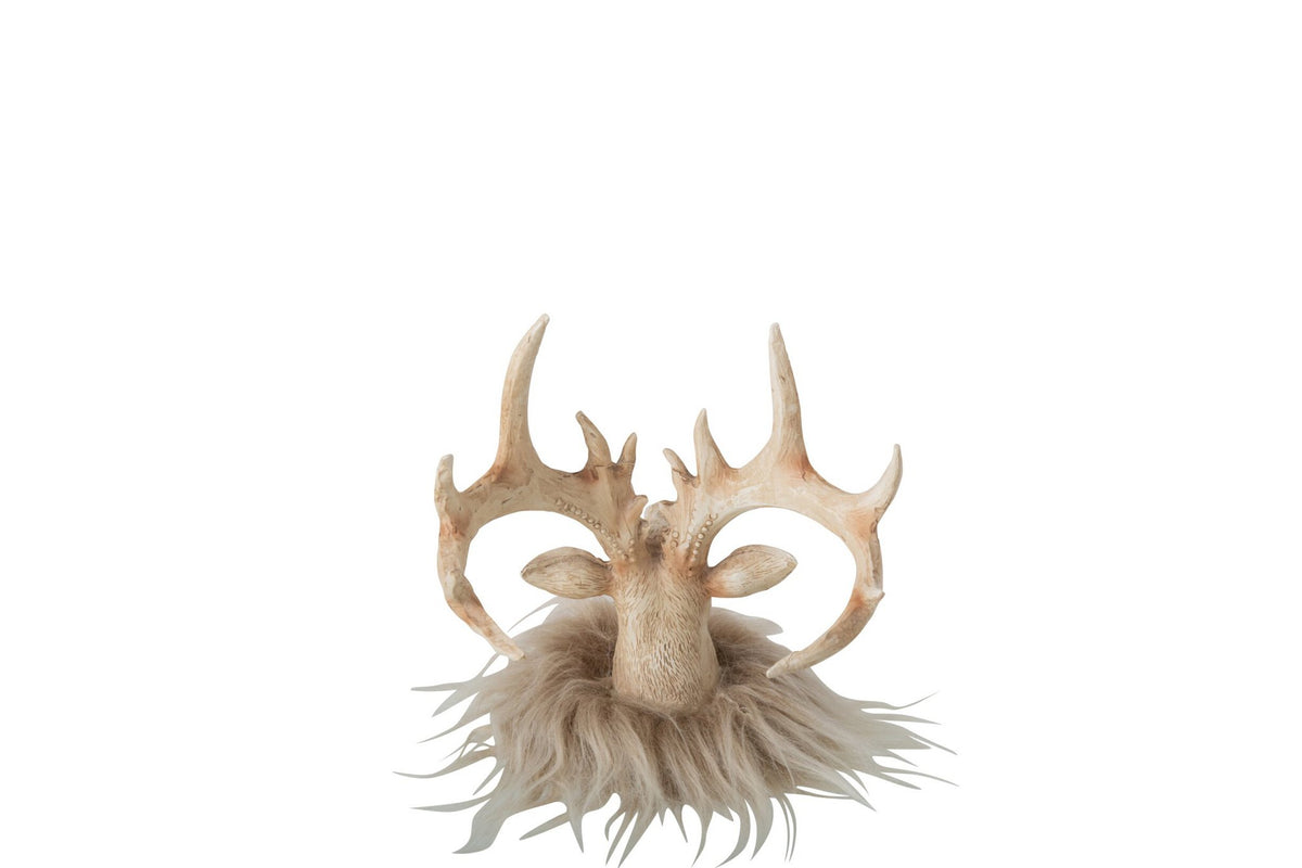 J-Line decoratie Rendier Hoofd - polyresin - lichtbeige - small