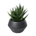 Kunstplant Yulara Groen 12x12x18 cm