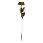 Kunstbloem 10x10x65 cm Groen Kunststof