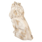 Decoratie Beeld Leeuw 50x30x62 cm Beige Keramiek