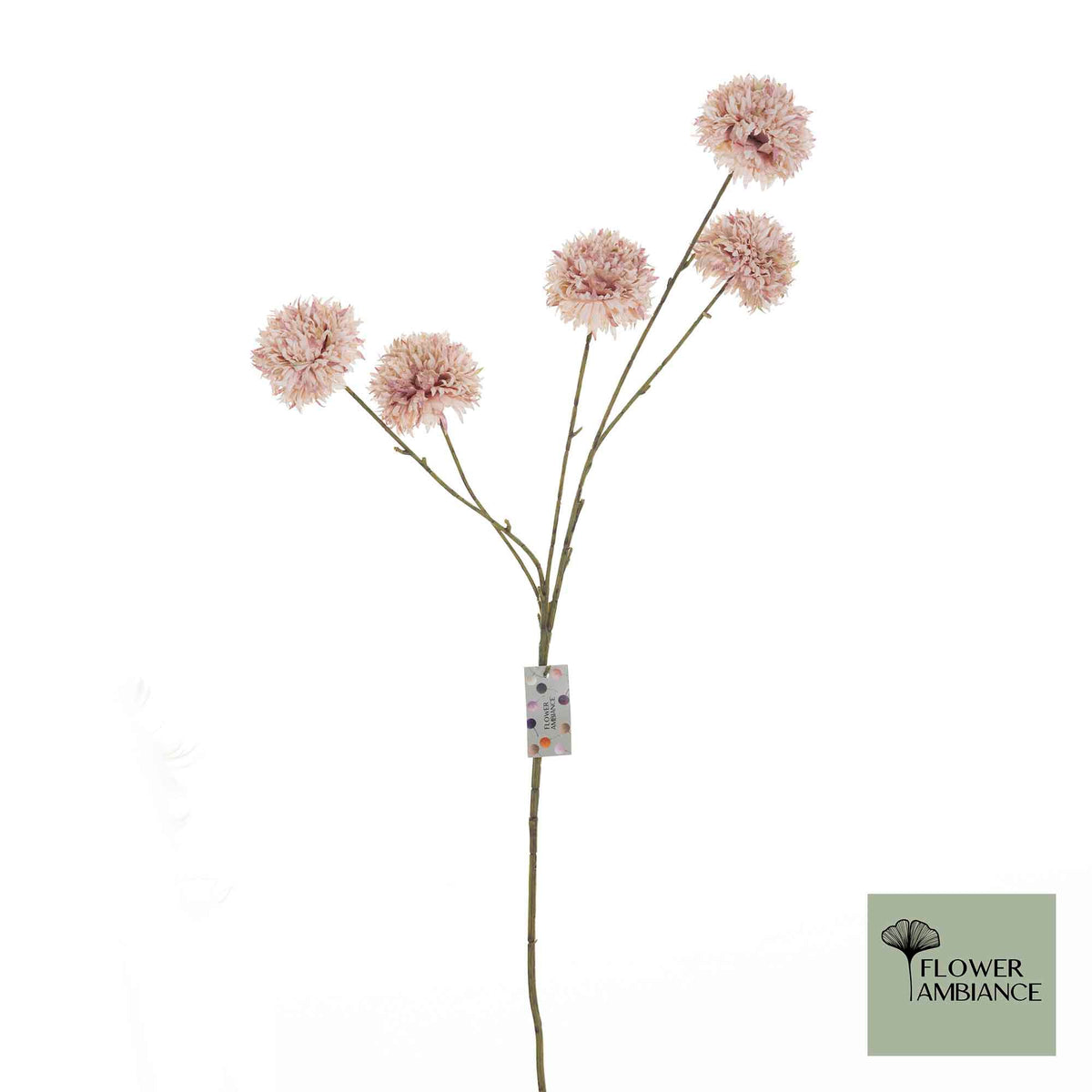 Pompom antique pink 71cm
