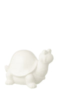 J-Line decoratie Schildpad - polyresin - wit