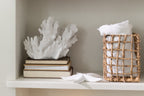 J-Line decoratie Koraal - polyresin - wit - groot