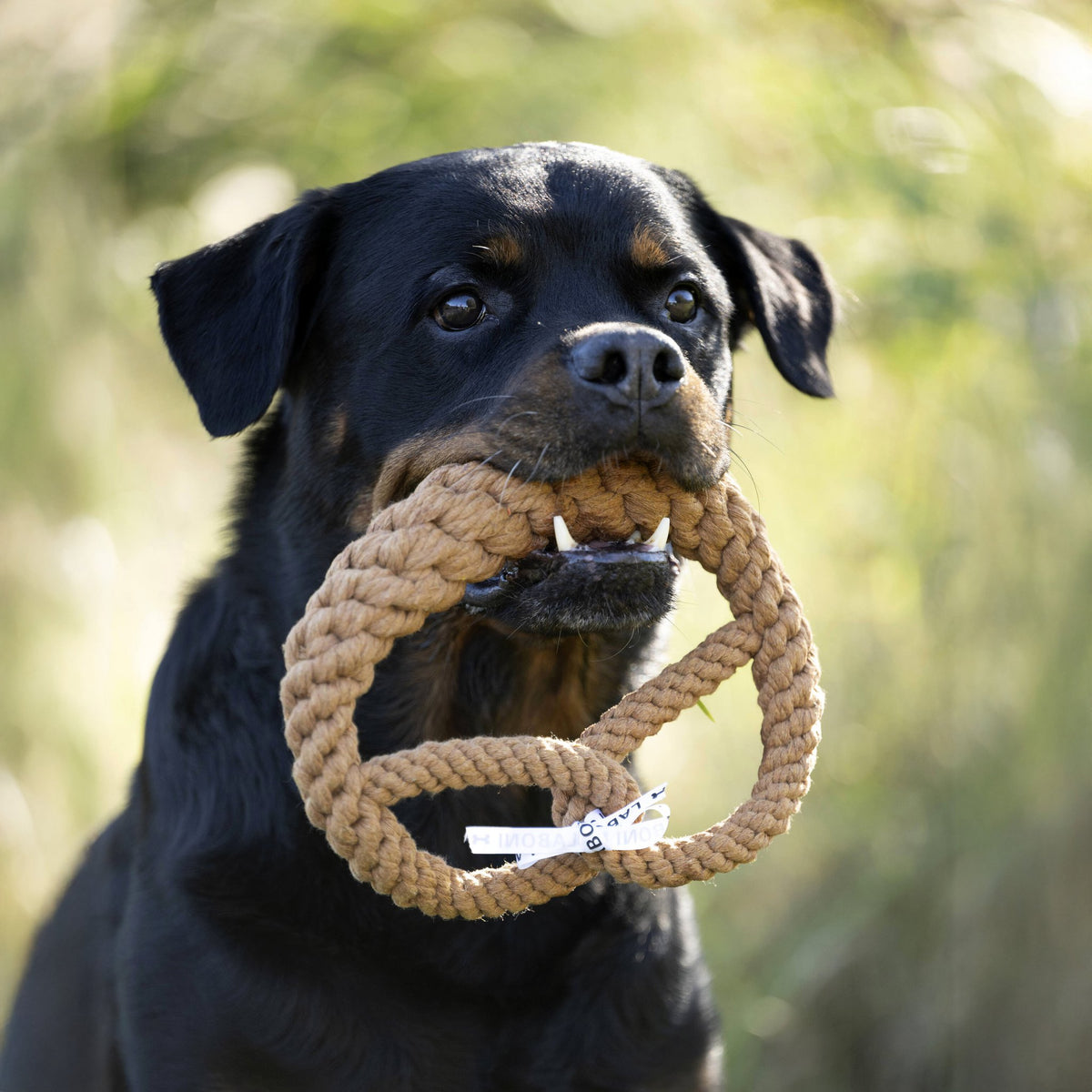 Britta Brezel - cultspeelgoed voor honden