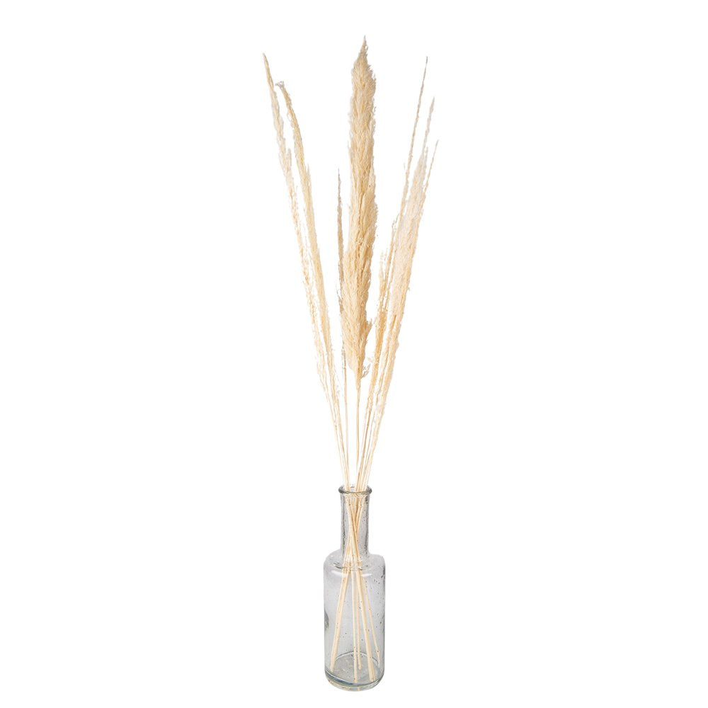 Droogbloemen 90 cm Wit Droogbloemen Droogboeket