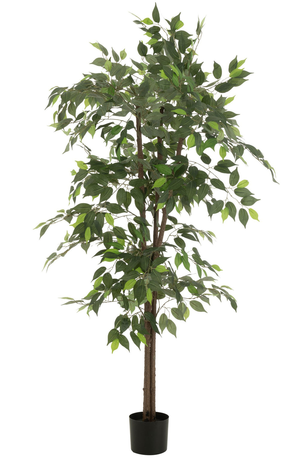 J-Line ficus in pot - kunststof - groen