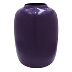 Vaas - Artic purple