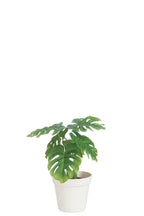 J-Line plant Blad Philo In Pot - kunststof - groen/wit - medium