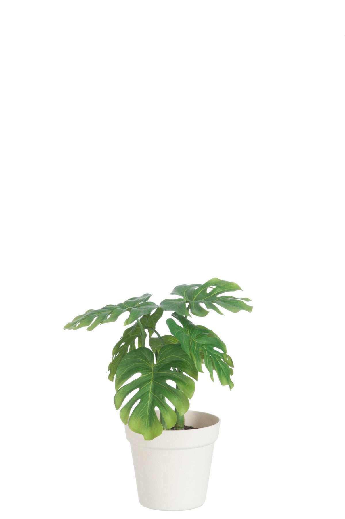 J-Line plant Blad Philo In Pot - kunststof - groen/wit - medium