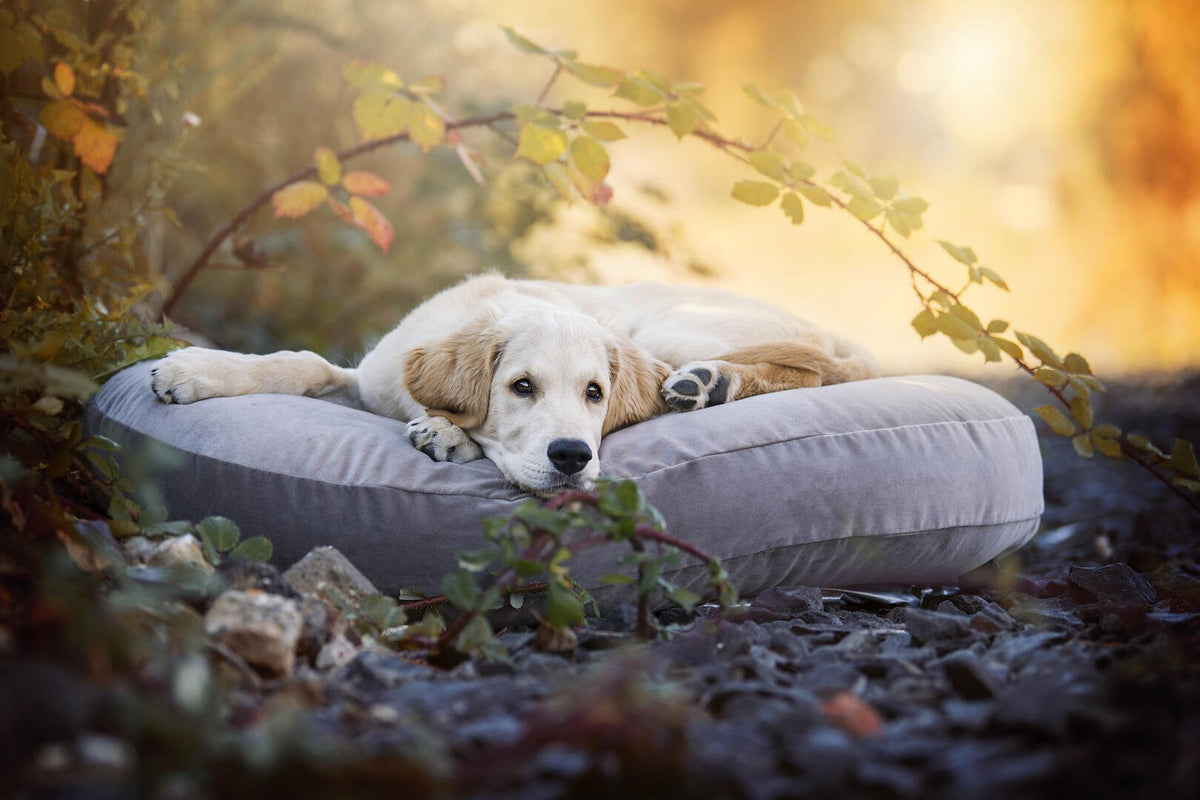 Luna Loungeset - Oxford Stone