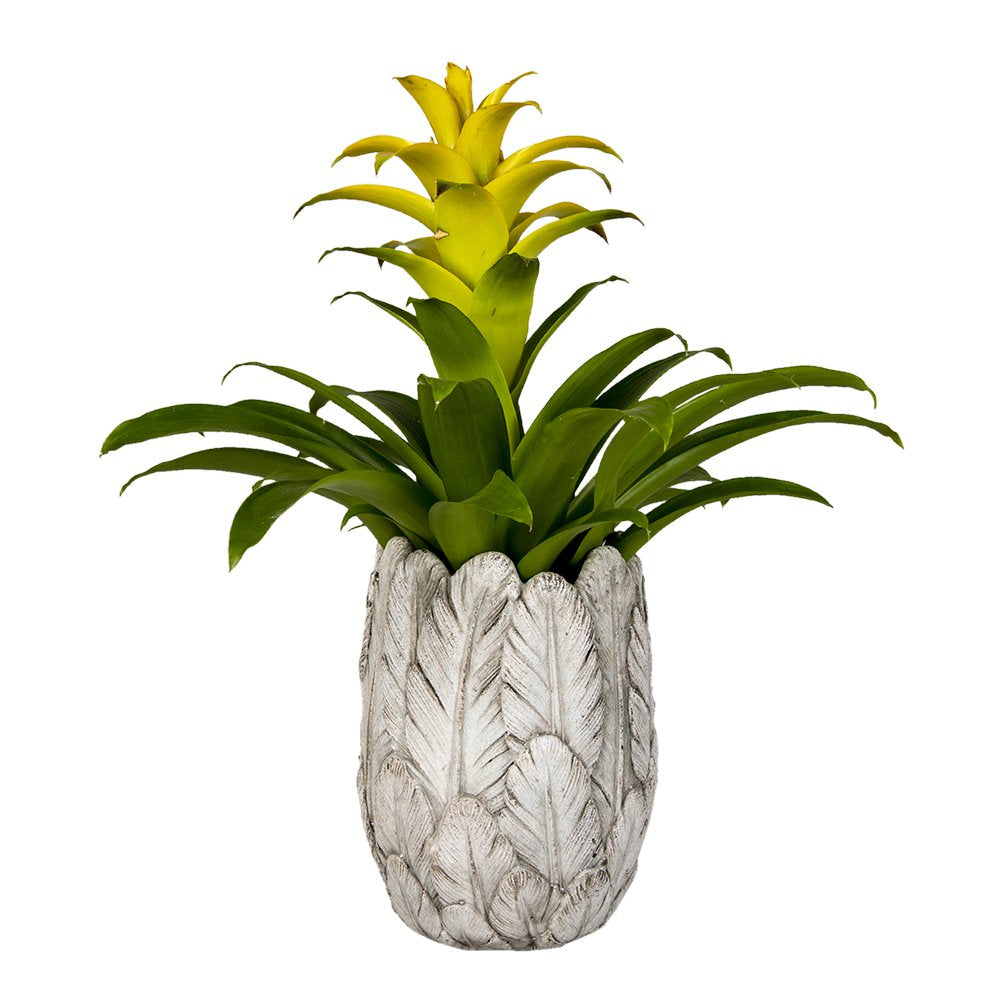 Bloempot Ø 15x21 cm Grijs Steen Veren Bloempot Binnen