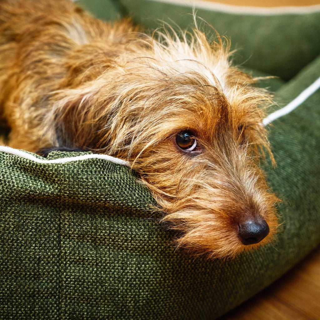 ECO Klassieke Hundebett