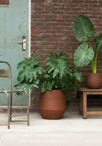 Humuspot nieuw terra
