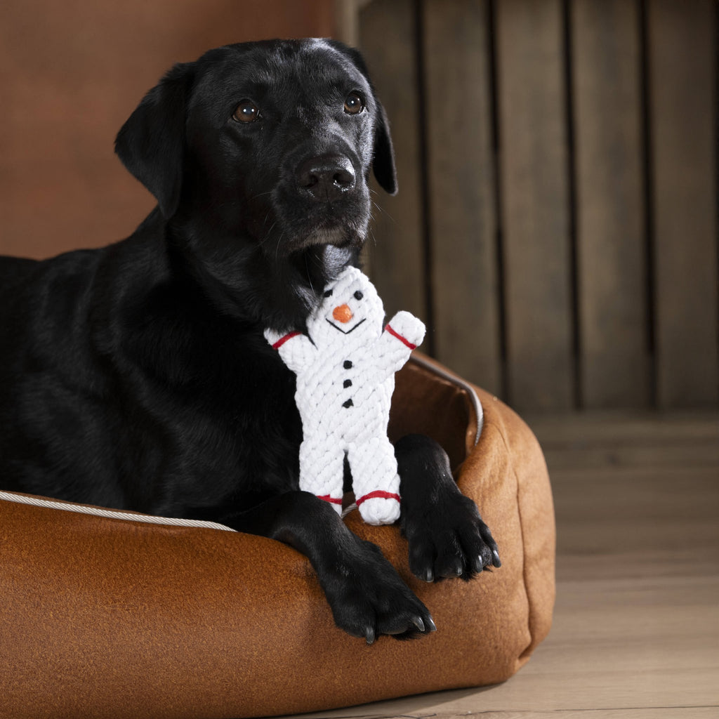 Shawn de Sneeuwman - cultspeelgoed voor honden