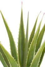 J-Line Agave Gebroken Wit Kunstmatig Groen