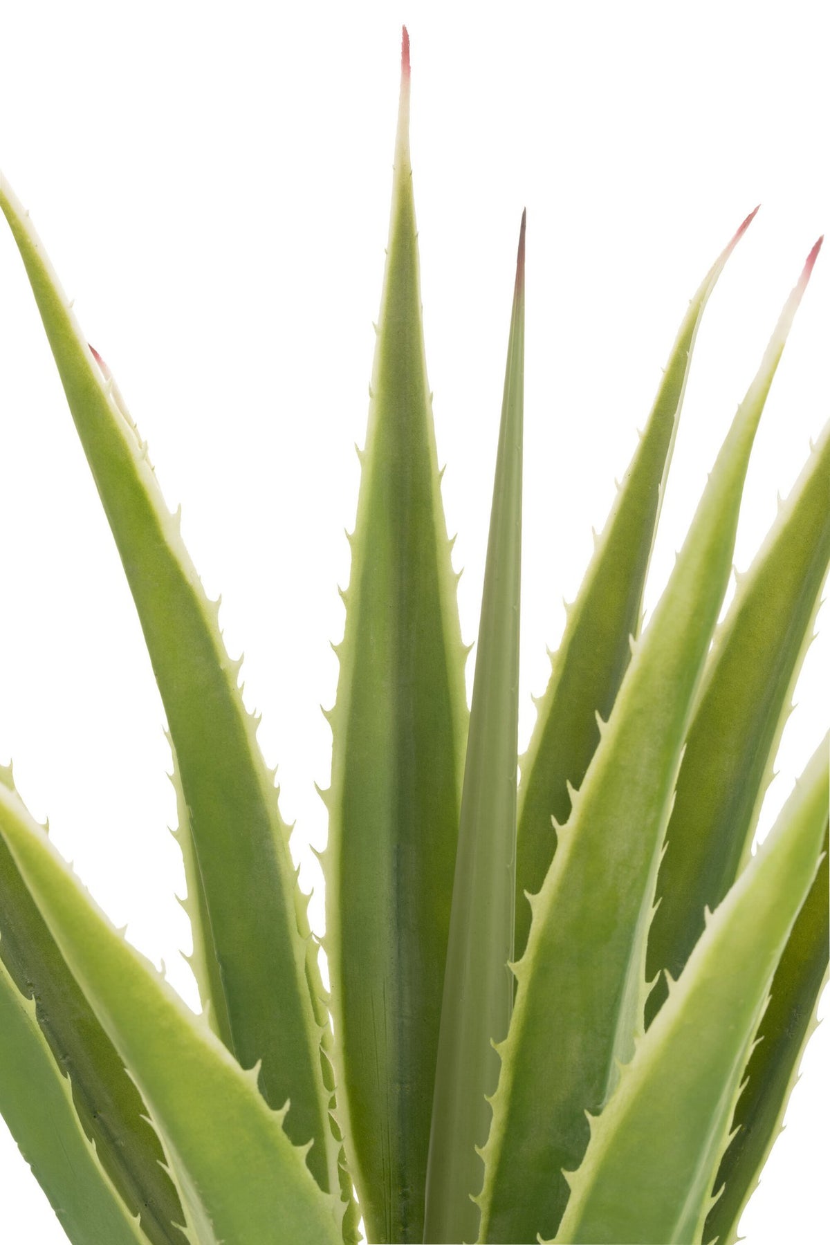 J-Line Agave Gebroken Wit Kunstmatig Groen