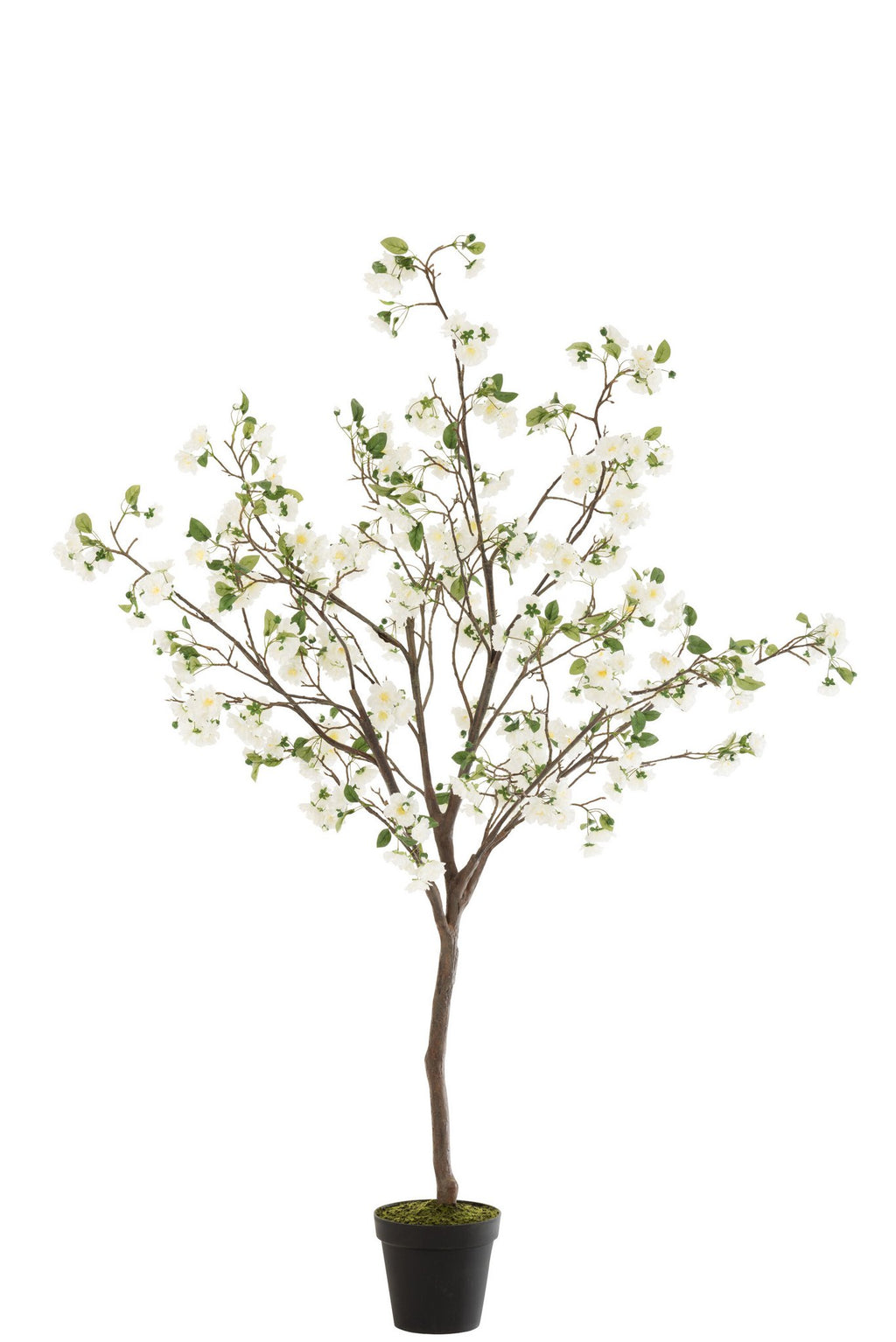 J-Line Bloesemboom Plastiek Wit/Bruin Large