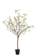 J-Line Bloesemboom Plastiek Wit/Bruin Large