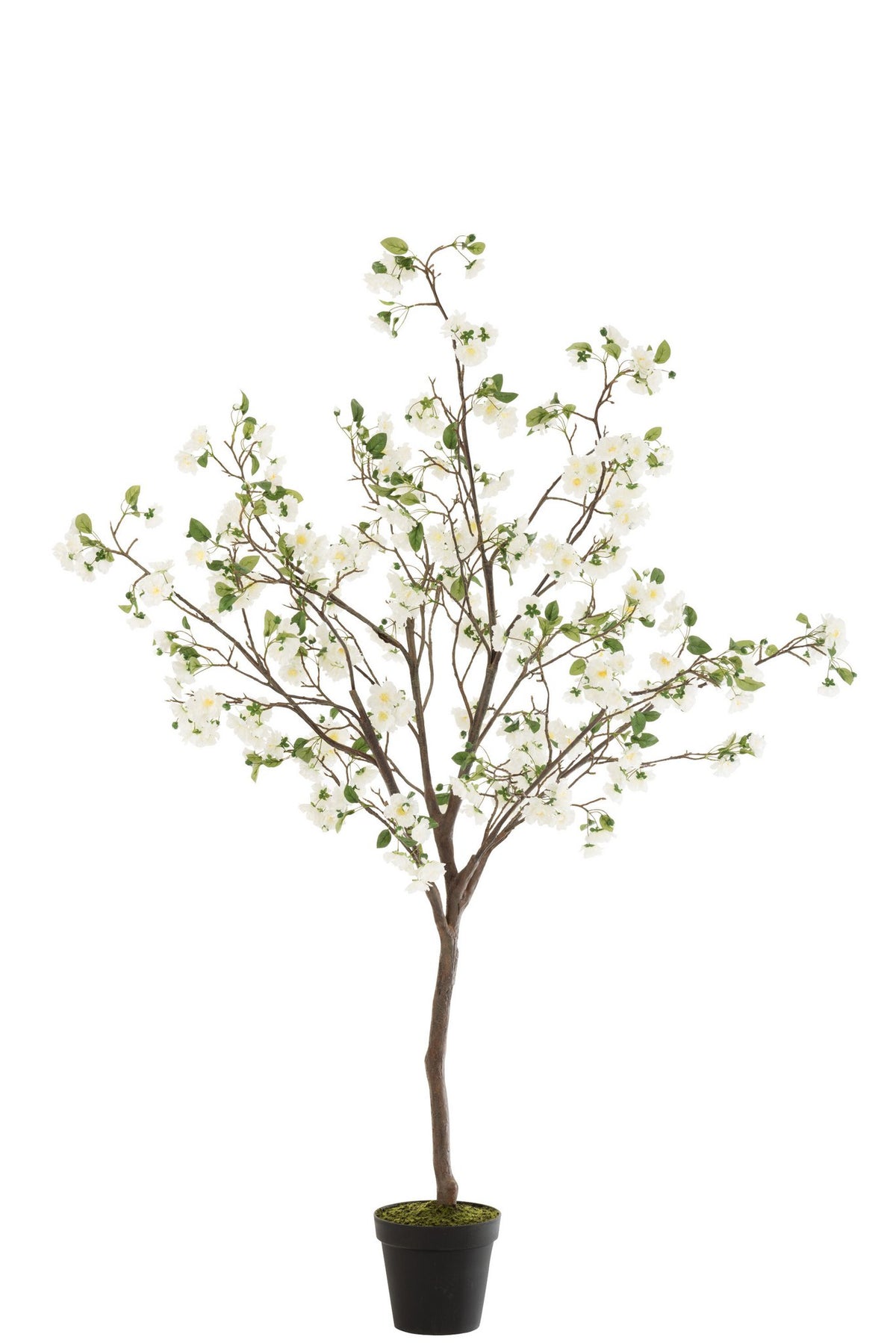 J-Line Bloesemboom Plastiek Wit/Bruin Large