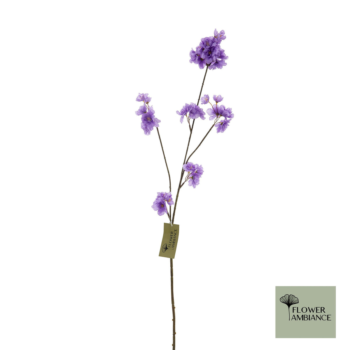 Prunus malaga tros lavendel 84cm