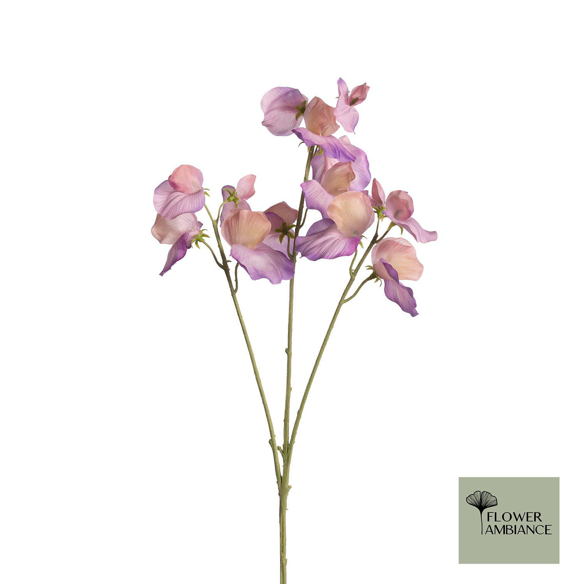 Lathyrus Spray x3 L66cm Lila