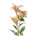 Kunstbloem 72 cm Beige Kunststof