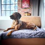 Cosy knuffeldeken voor honden