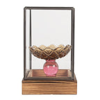 Decoratie Kweekkastje 12x12x19 cm Transparant Glas