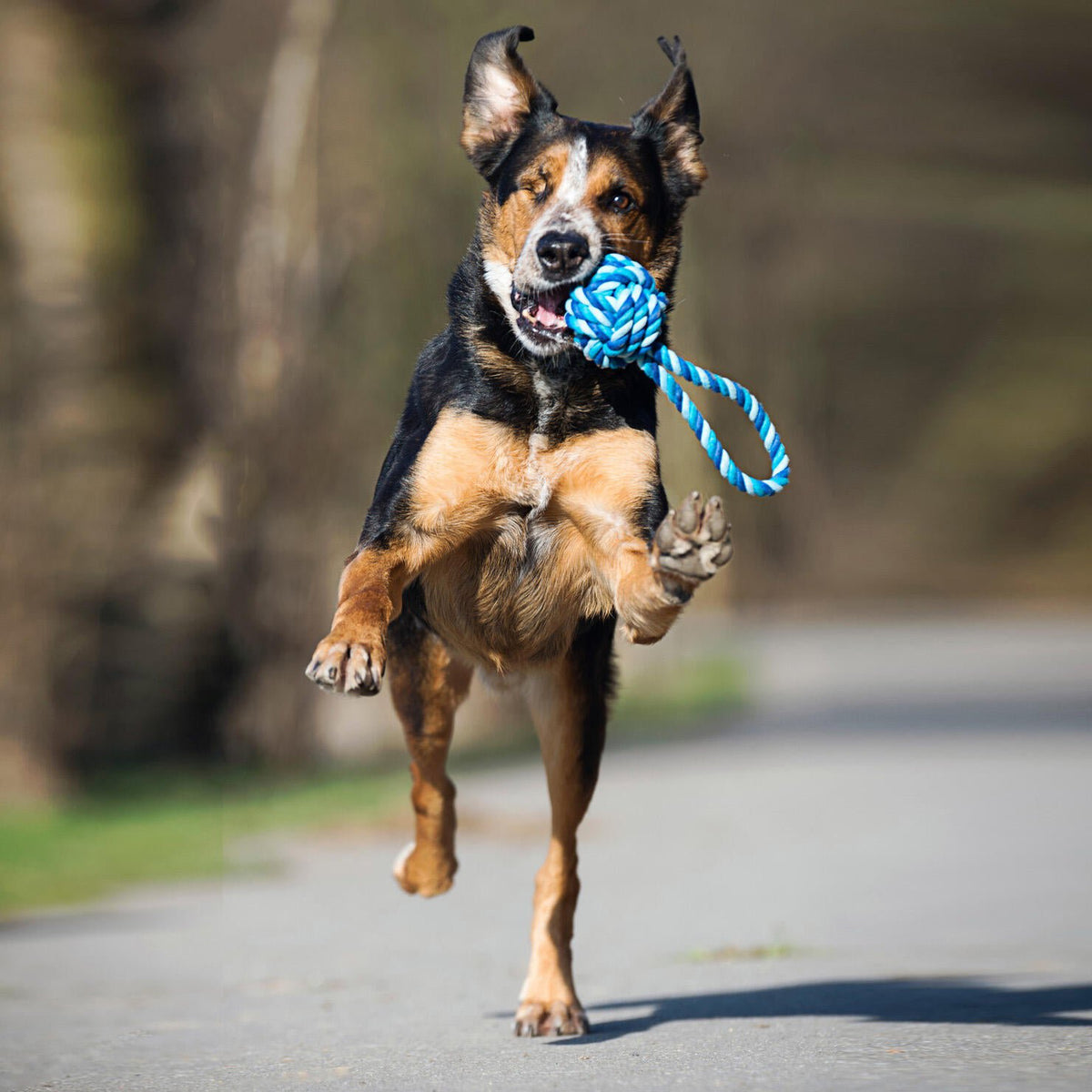 Maxi Sling Ball - cultspeelgoed voor honden