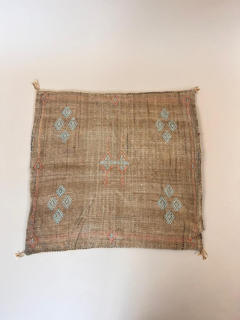 Cactus Silk Kussen