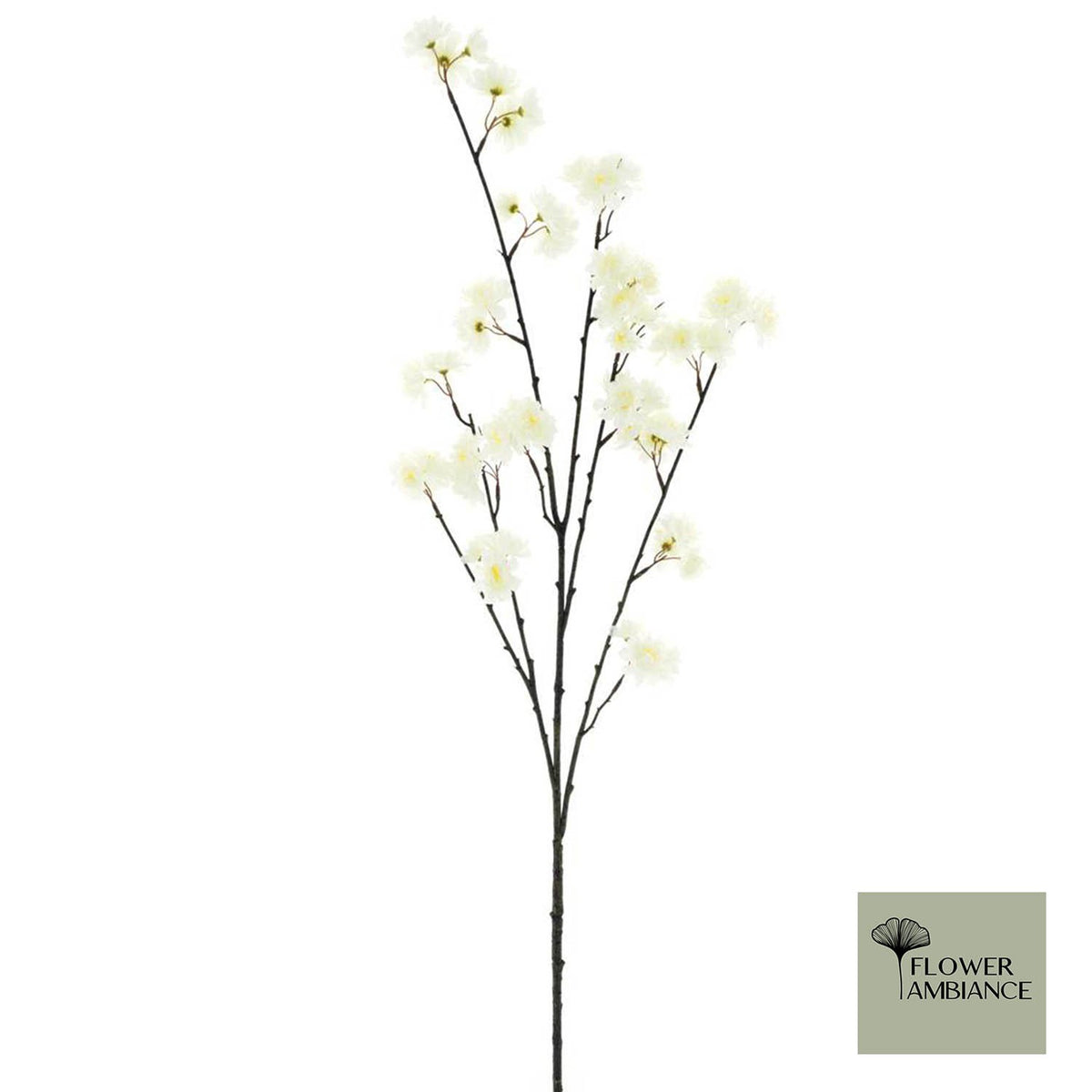 Prunus Denver spuitcrème 105cm