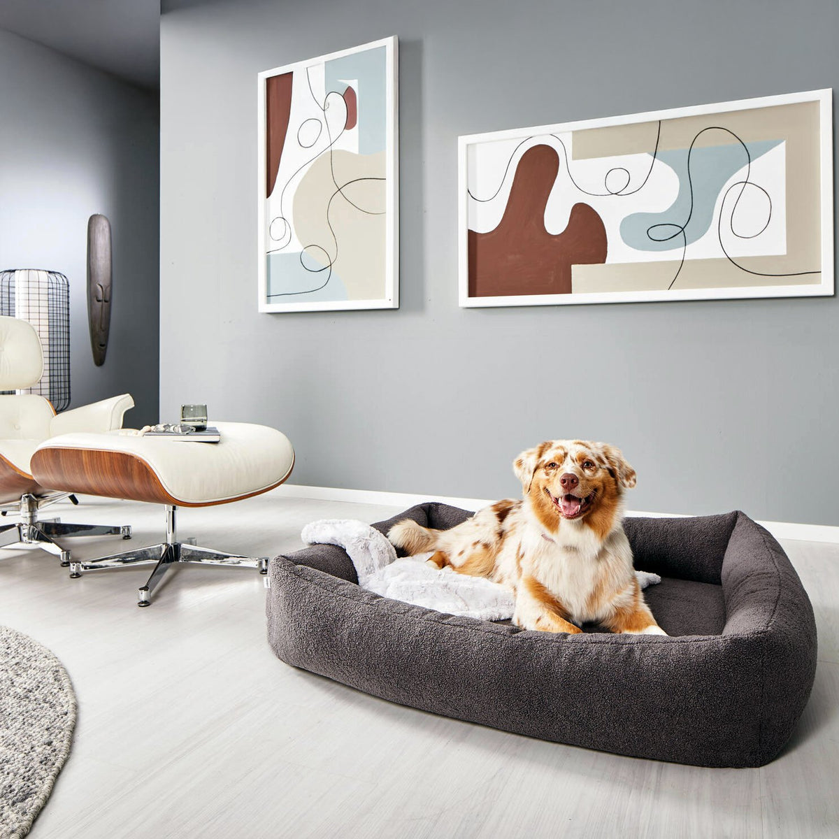 Teddy Ortho | Premium orthopedisch hondenbed