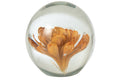 J-Line presse-papier Bal Bloemen - glas - brons - large