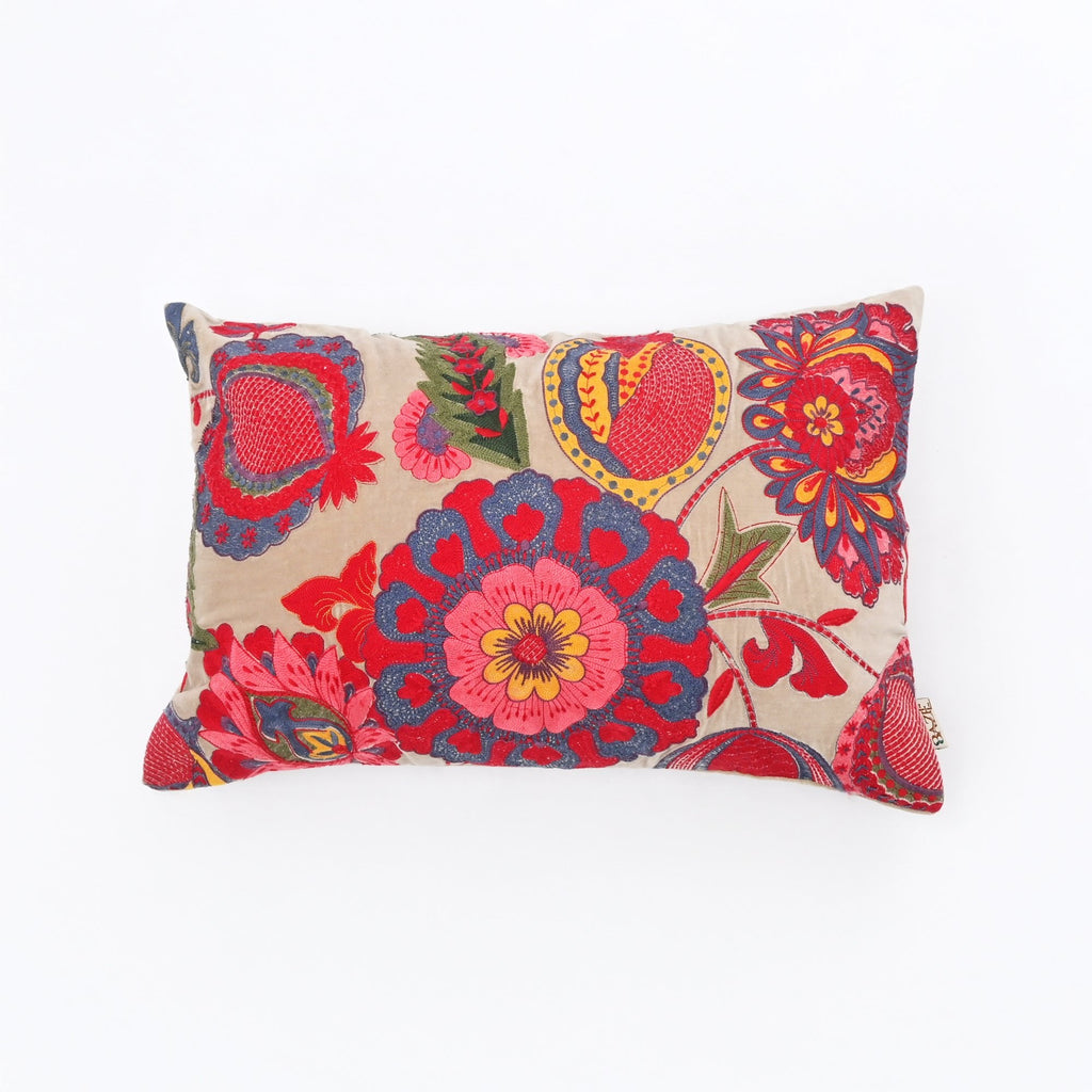 Boho geborduurd katoen - Fluwelen lendenkussen - 40 x 60 cm