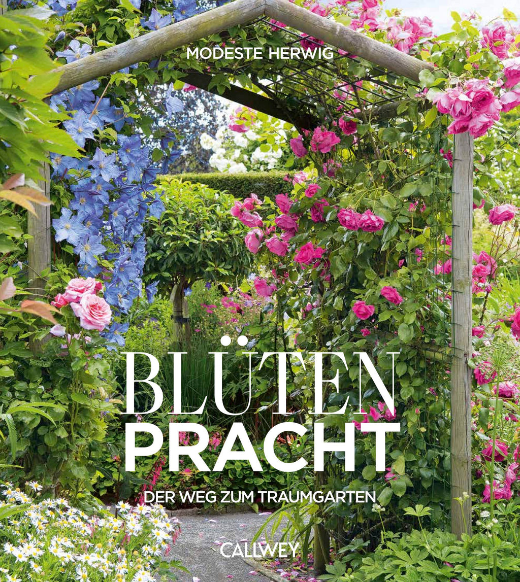 Bloemenpracht. Het pad naar de droomtuin