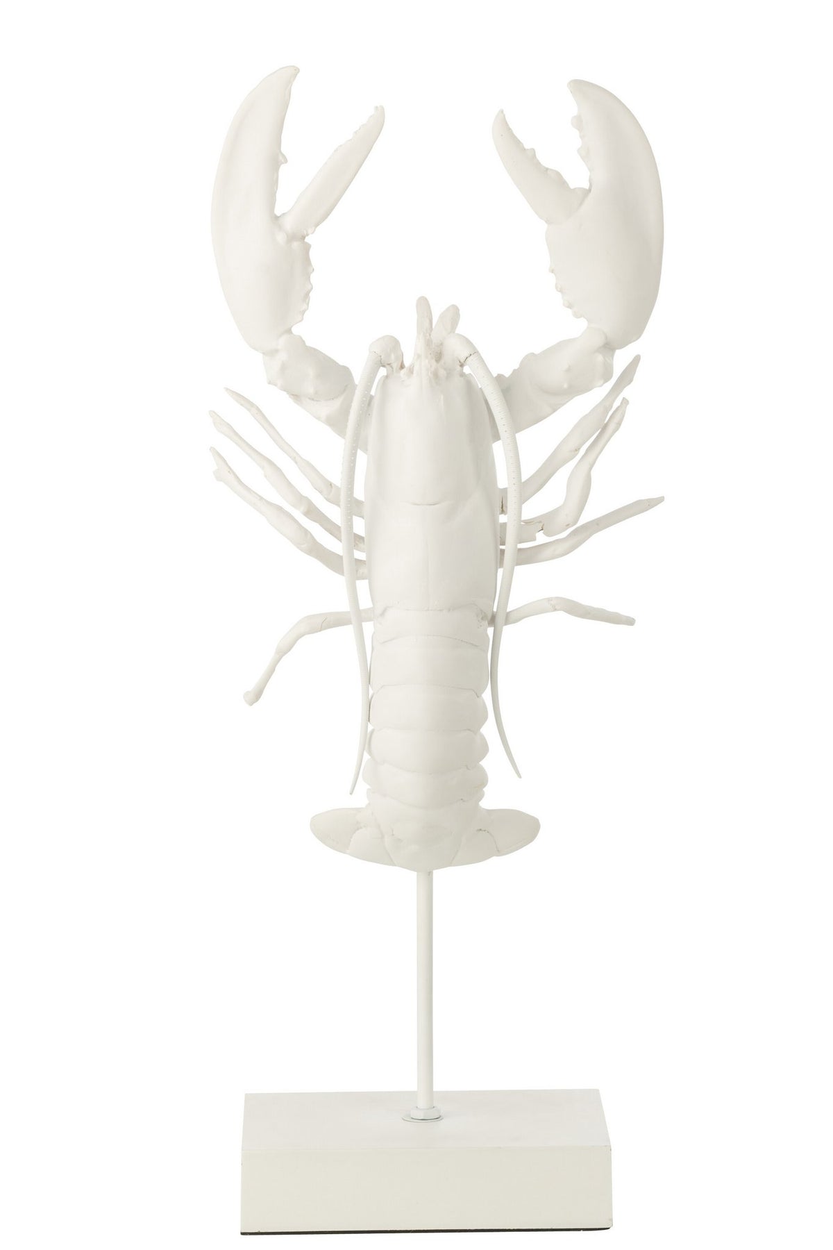 J-Line decoratie Kreeft Op Voet - polyresin - wit