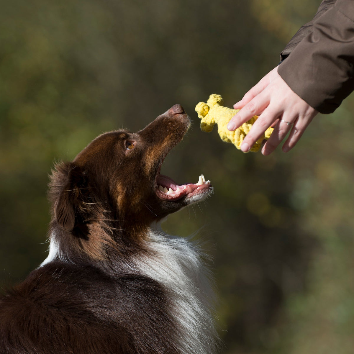 Greta Giraffe - cultspeelgoed voor honden