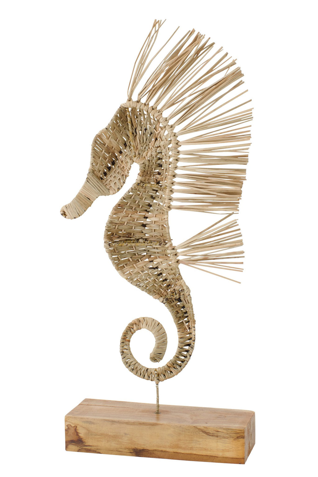 J-Line decoratie Zeepaard Op Voet - gras - naturel - L
