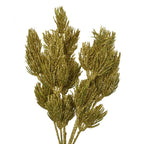 Kunstbloem 30 cm Goudkleurig Kunststof