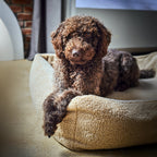 Teddy I Klassiek Hundebett