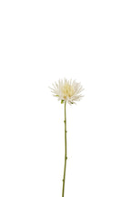 J-Line Chrysant Mini Plastiek Wit Small