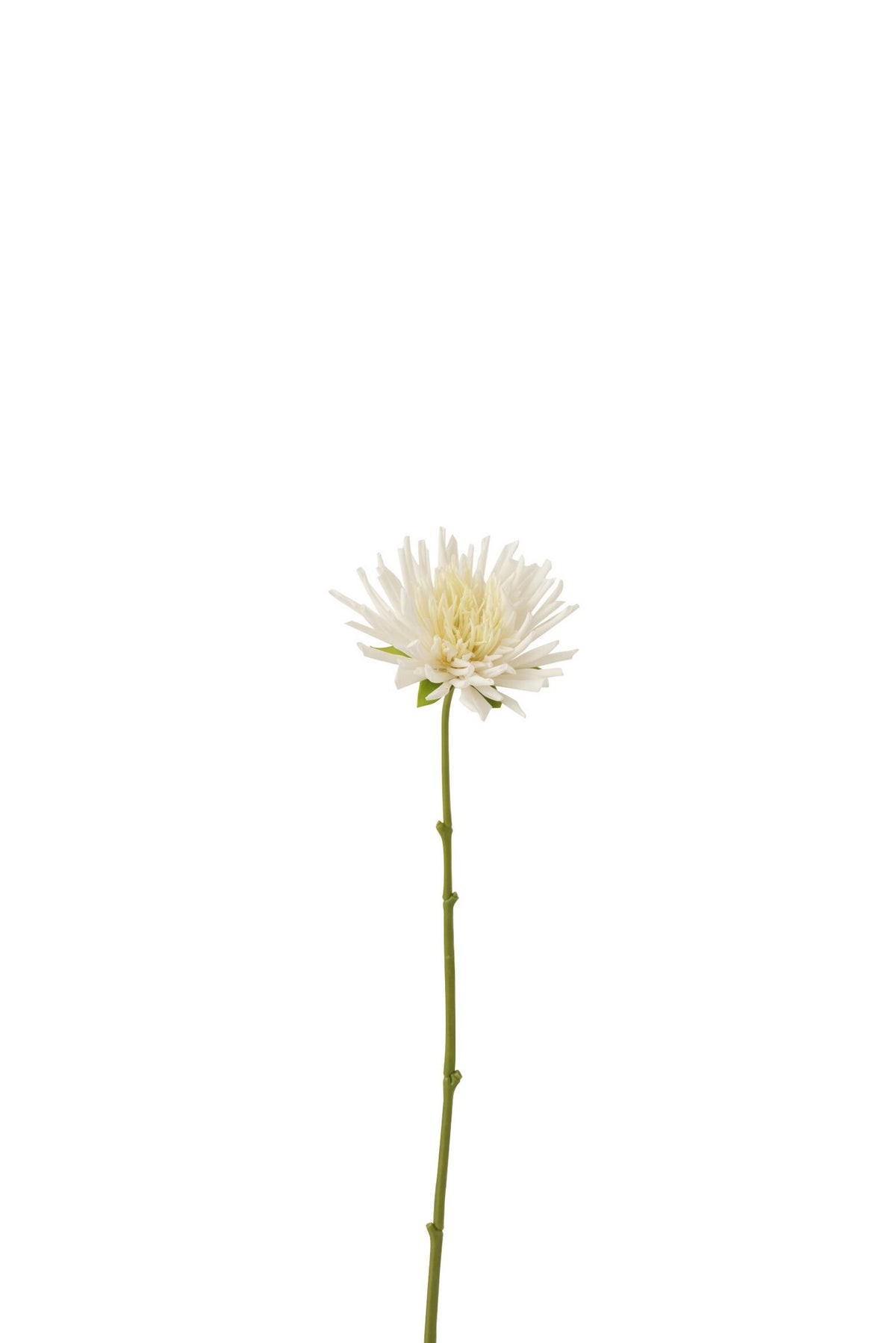 J-Line Chrysant Mini Plastiek Wit Small