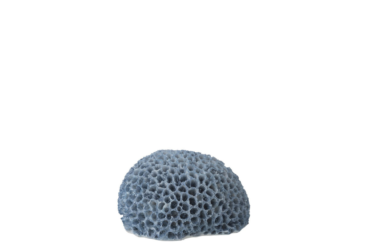 J-Line decoratie Koraal - polyresin - lichtblauw - S