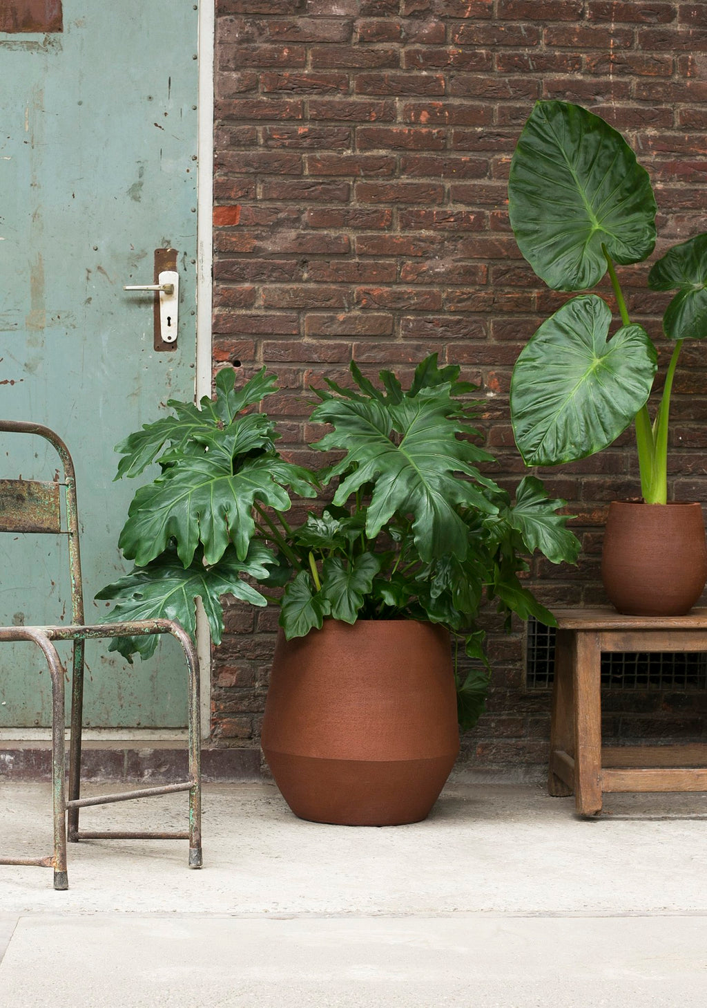 Humuspot nieuw terra