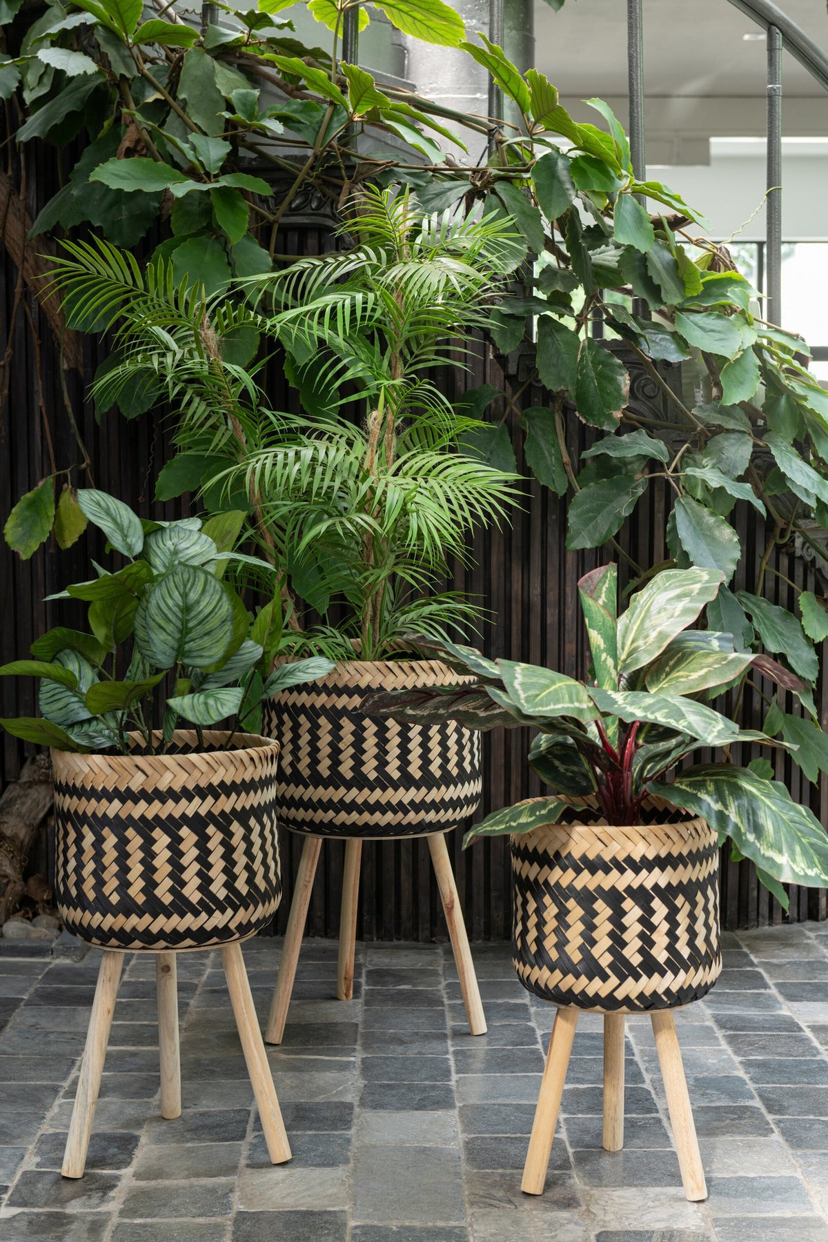 J-Line Pothos Plant In Pot Plastiek Groen