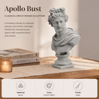 Apollo buste sculptuur – wit klassiek Grieks beeld voor elegant interieur
