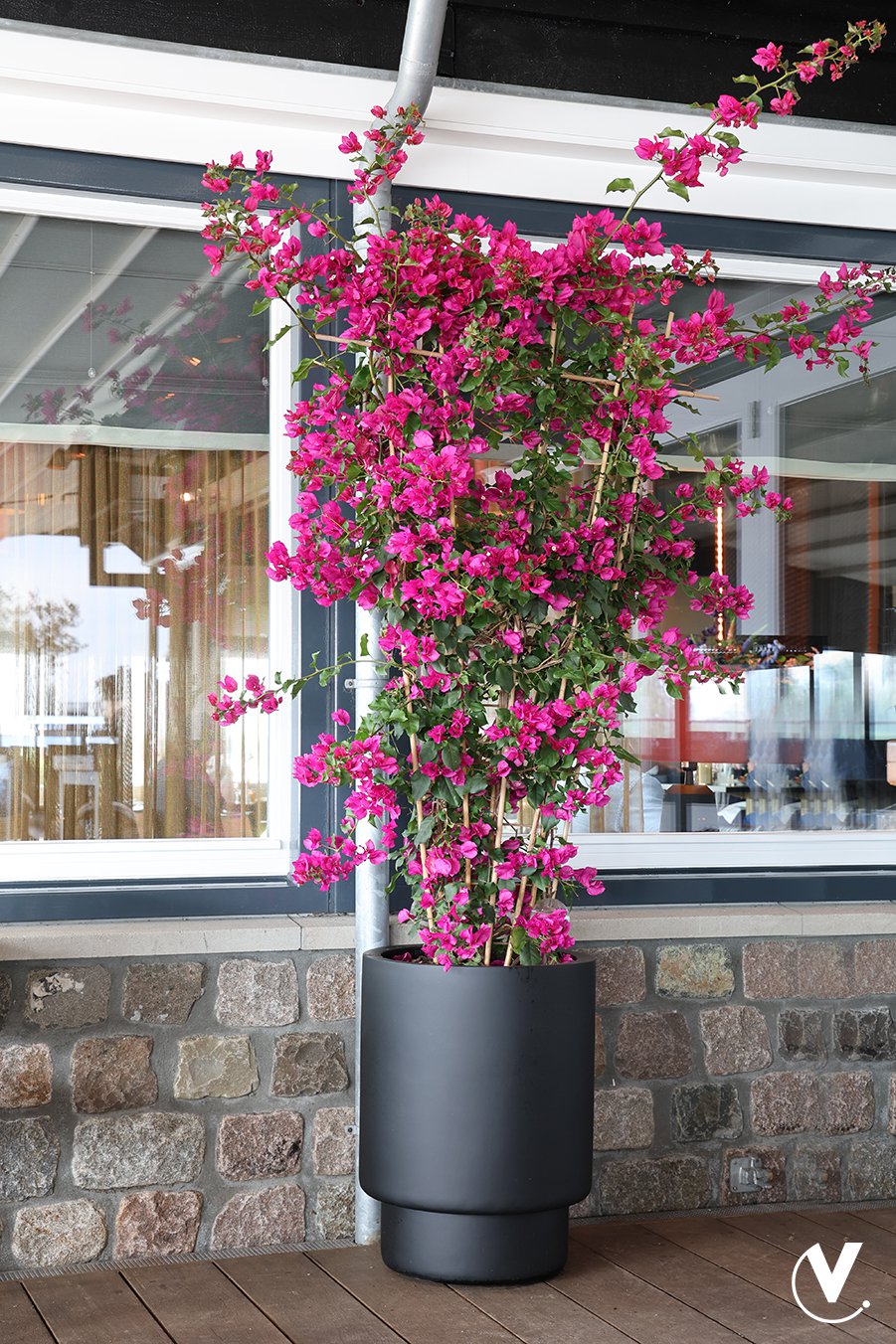 Plantenpot SALE! - Almstok black - korting reeds in de prijs verwerkt. OP=OP