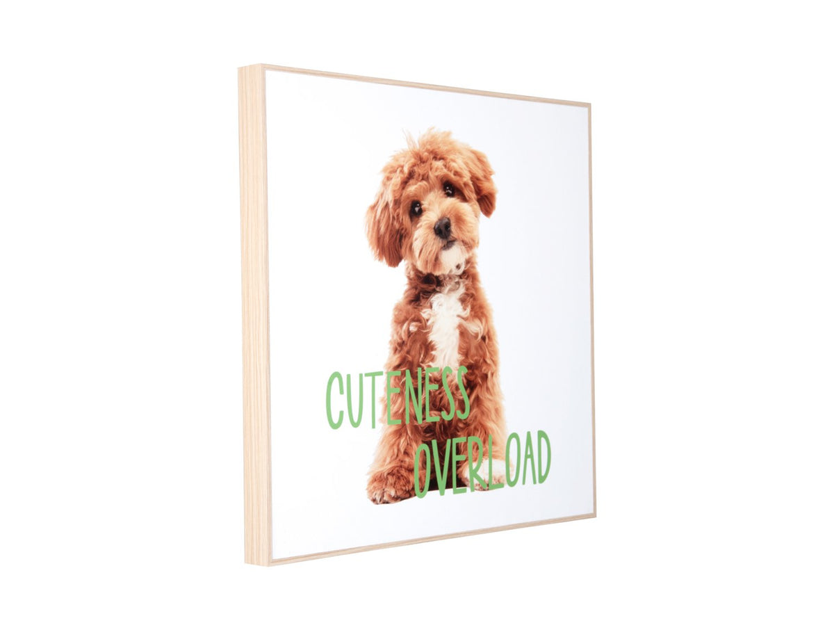 Wanddecoratie Puppy schattigheid overbelasting