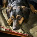 Oxford fluwelen deken voor honden